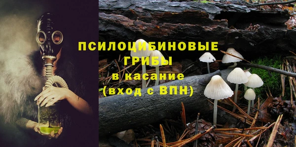 ALPHA PVP Нягань