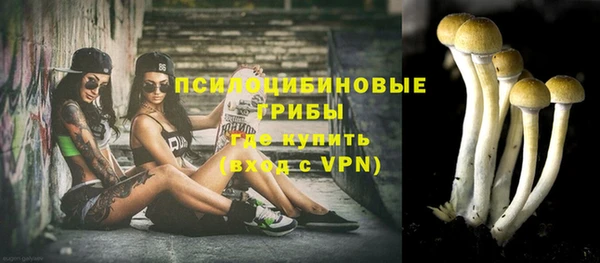 мескалин Сураж